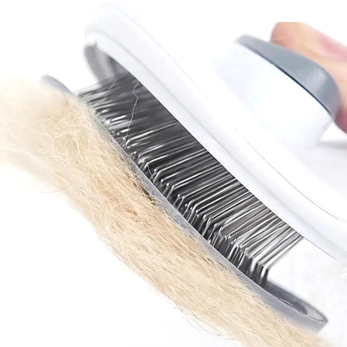 brosse autonettoyante pour chien et chat