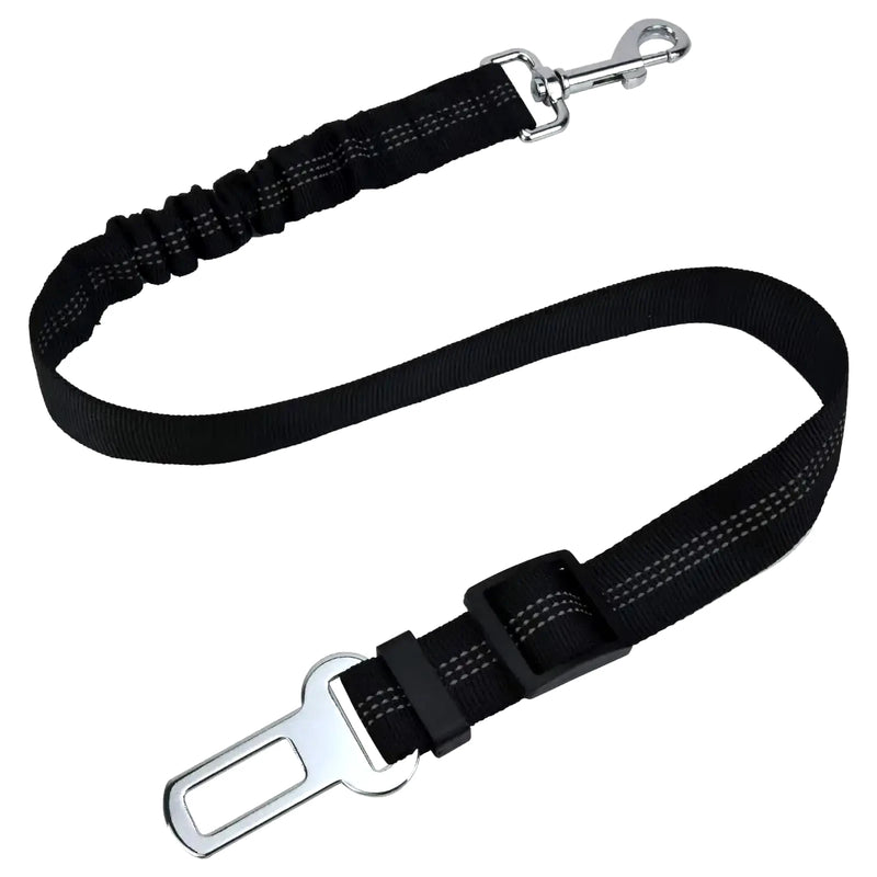 ceinture de sécurité pour chien