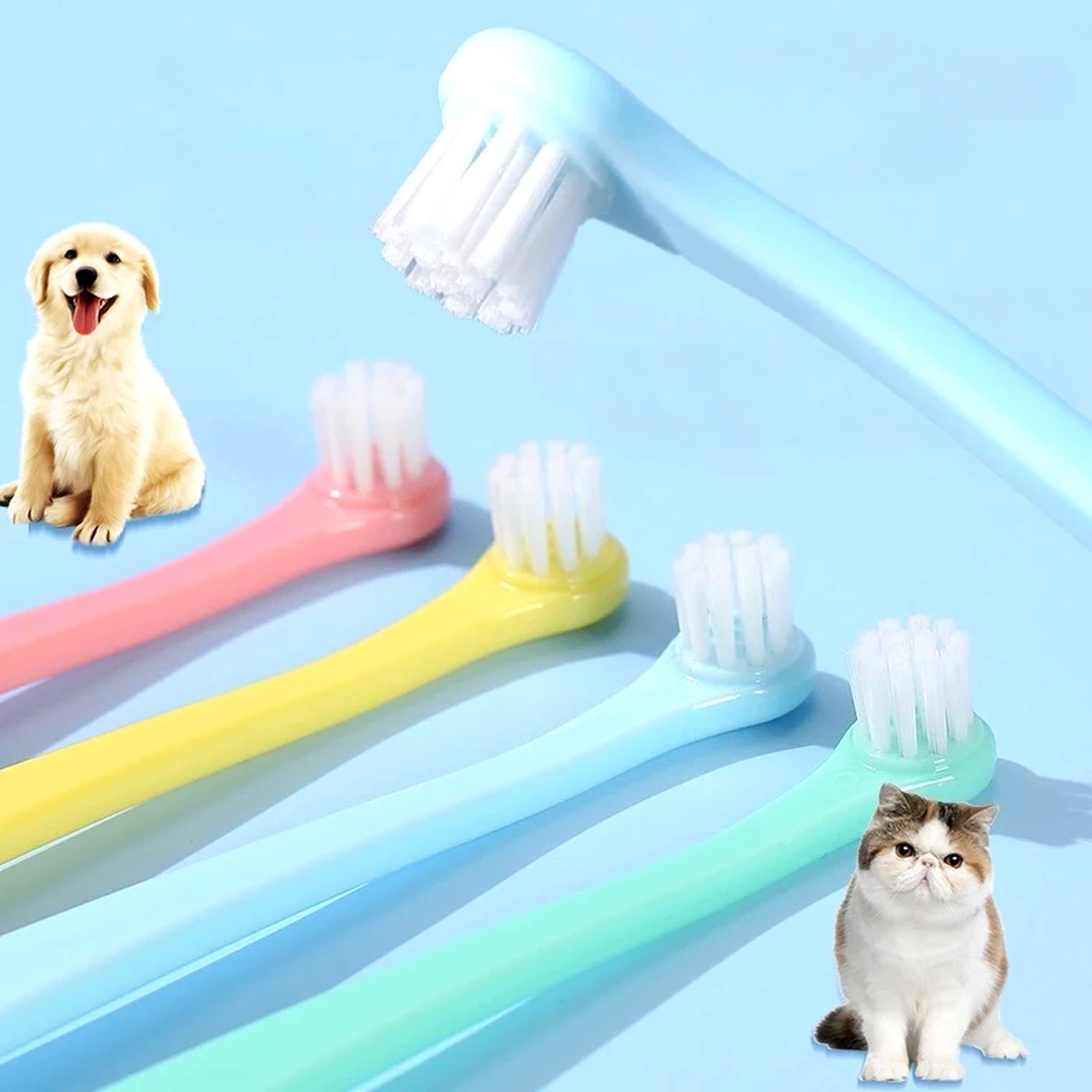 brosse à dents pour chien et chat
