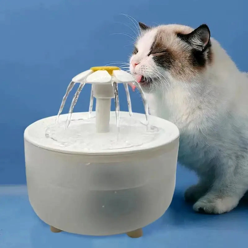 fontaine à eau pour chat