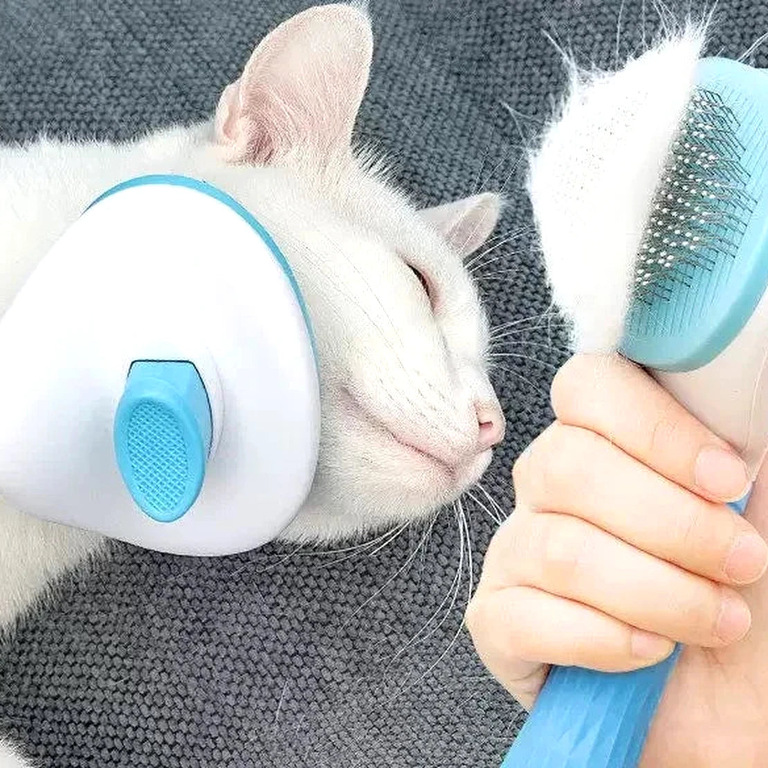 brosse autonettoyante pour chien et chat